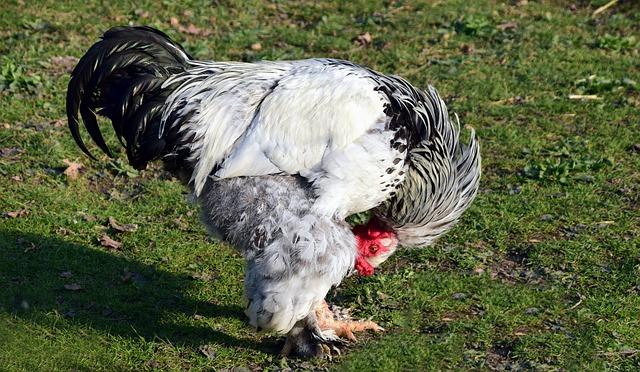 Cviky na převis břicha: Jak zpevnit břišní svaly a zlepšit vzhled