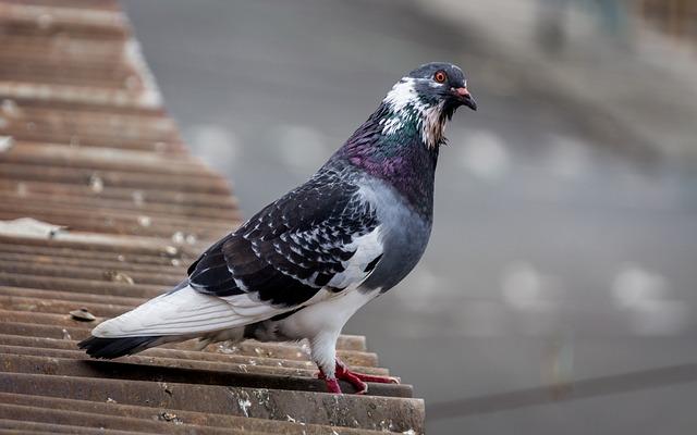 Jak jóga pomáhá dětem rozvíjet flexibilitu a sílu