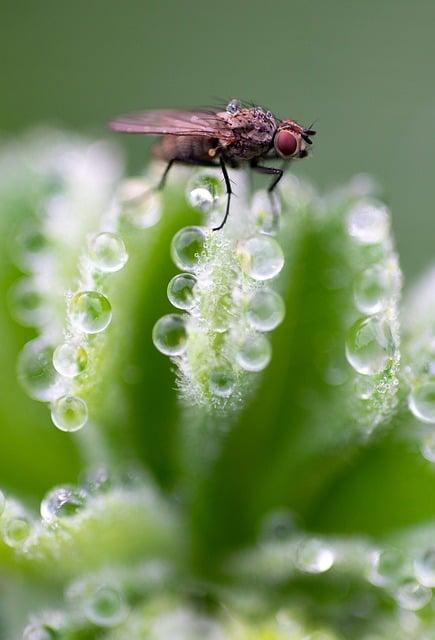 Zkušenosti s různými styly fly jógy