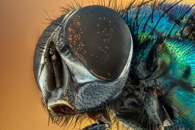 Výhody pravidelného cvičení fly jógy