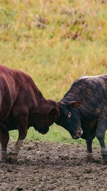 Naražená kostrč cviky: Jak se zbavit bolesti a nepohodlí