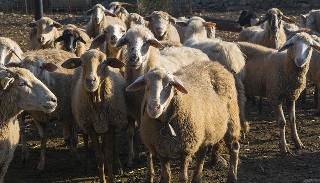 Údržba a péče o jógová lana pro dlouhou životnost