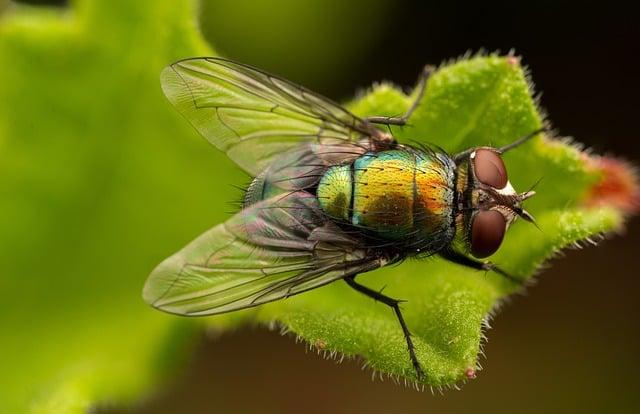 Jak integrovat fly jógu do vašeho každodenního života