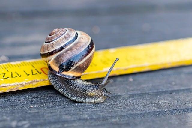 Jak integrovat Slow Flow Jogu do každodenního života